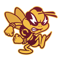 Concordia Athletics Sports Camps