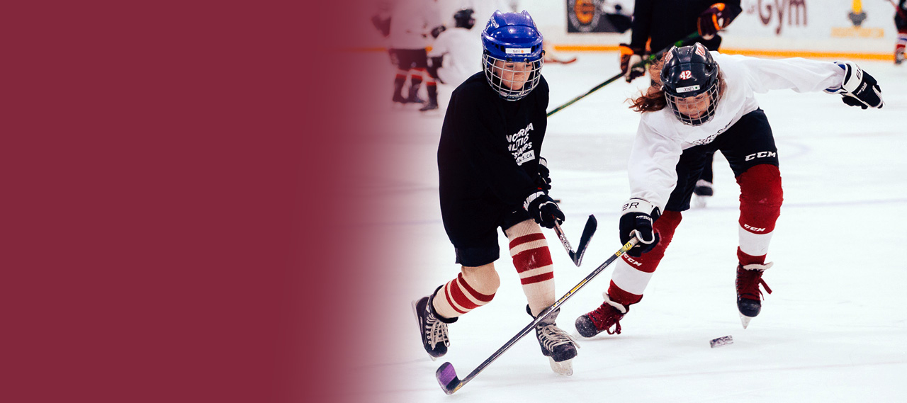 Hockey camp